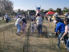 -武汉紫薇都市田园