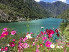 -叠溪松坪沟景区