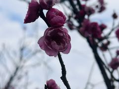 -艾溪湖湿地公园