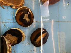 -大天然酒店(军民路店)