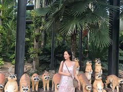 -东芭乐园