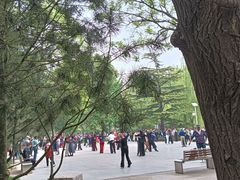 -康庄公园