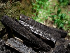 -石台牯牛降景区