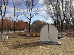 -长春世界雕塑园冰雪艺术天地