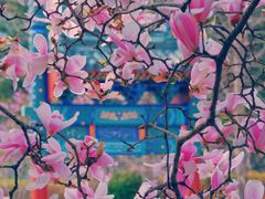 -北京积水潭医院-停车场