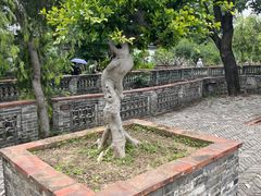 -中山詹园