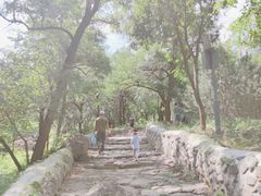 -阳台山自然风景区