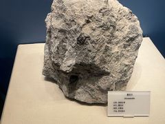 -贵州省地质博物馆