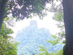 -青城山