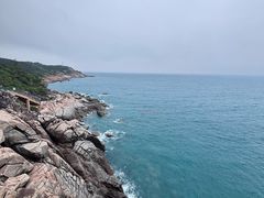 -广东惠东海龟国家级自然保护区
