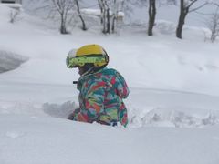 -二世古滑雪场