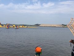 -呼兰河口湿地公园