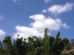 -九曲溪漂流