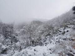 -武陵山森林公园