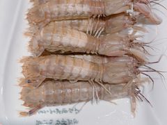 白灼皮皮虾-渔傅·蓝海岸霞浦海鲜(正祥店)