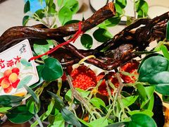 -唐猫庭院·千年陕菜(大唐不夜城店)