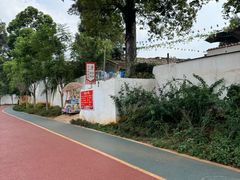 -阳宗海湿地