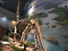 -自贡恐龙博物馆