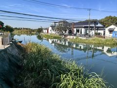 -莲花岛景区