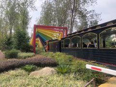 -合肥滨湖国家森林公园