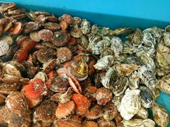 -港畔赶海蒸汽海鲜烧烤自助(仙螺岛店)
