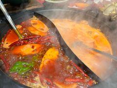 -蜀大侠火锅(建设路第五大道店)