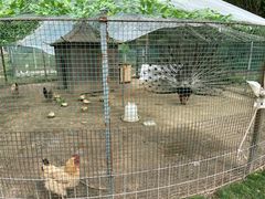 -前小桔亲子创意农场·草莓采摘·露营烧烤