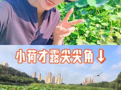 -前关湿地公园