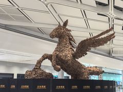-杭州萧山国际机场