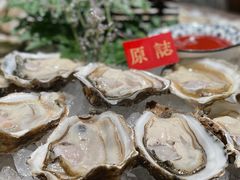 新西兰生蚝-原志优秀食材·匠心料理·海胆主题(金亿广场店)