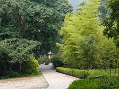 -青岛崂山太清宫