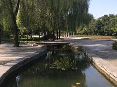 -洛阳市隋唐城遗址植物园
