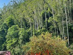 -四会奇石河风景区