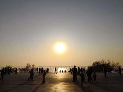 -宝安西湾红树林湿地公园