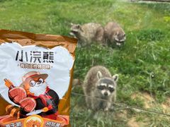 -秦皇岛野生动物园