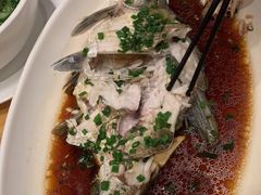 -7017浙菜•建德味(市心北路店)