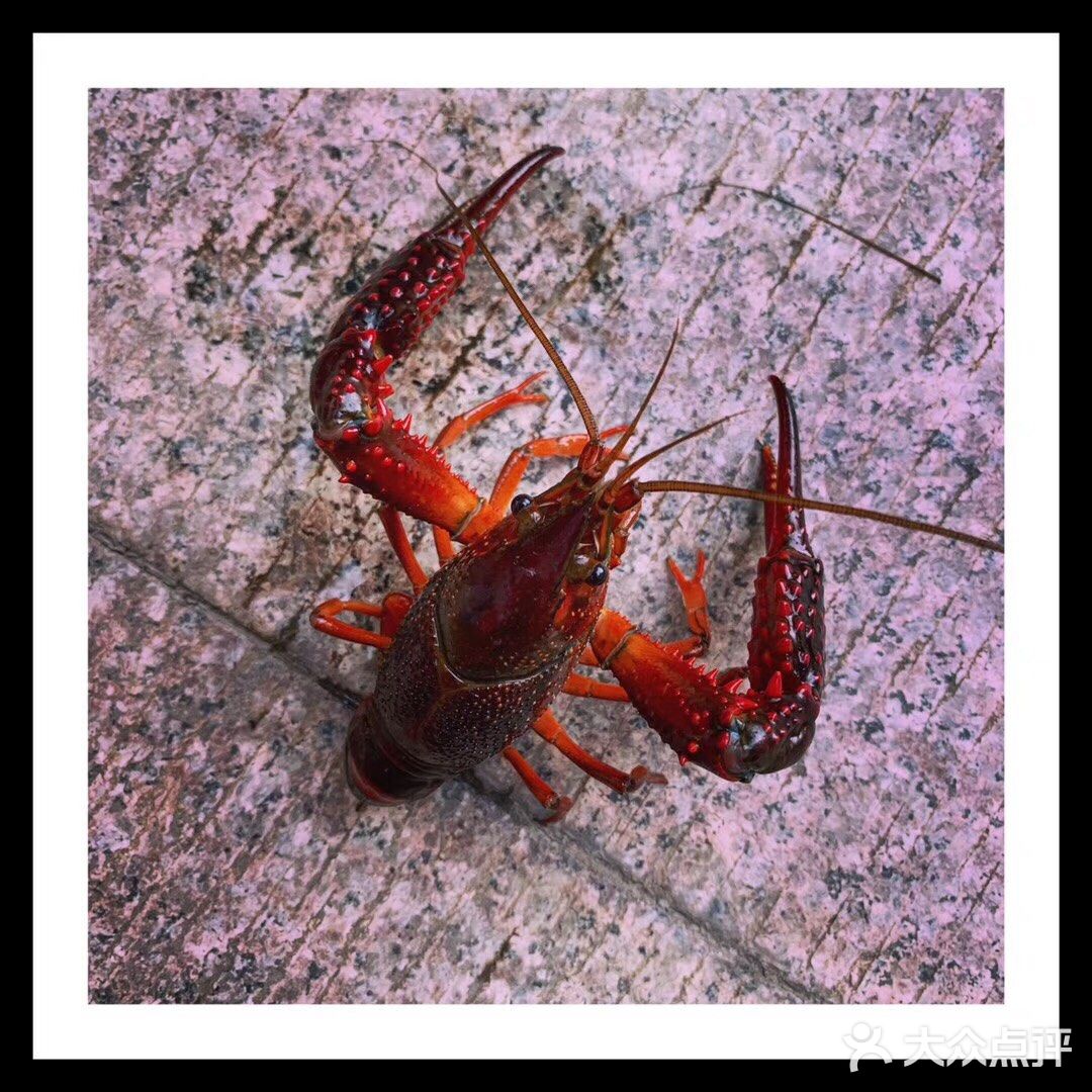 好吃又新鲜的十三香小龙虾😘