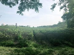 -南京市江宁方山