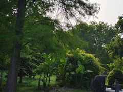 -东湖落雁景区