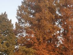 -国家植物园南园