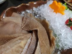 毛肚-湊湊火锅·茶憩(石家庄万象城店)