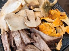 -蘑统田下·野生菌火锅