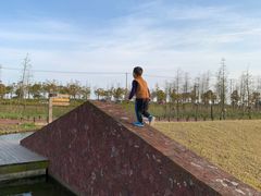 -春花秋色城市公园