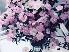 -纽斯桑拿会所(天山店)