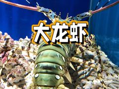 -上海野生动物园