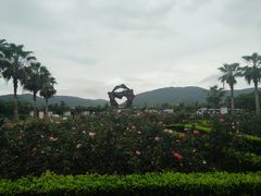 -亚龙湾国际玫瑰谷