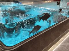 -艳阳天·非遗楚菜(武汉客厅店)