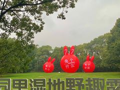 -同里国家湿地公园