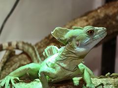 -上海昆虫博物馆