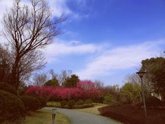 -石湖景区